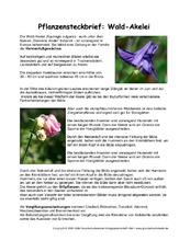 Pflanzensteckbrief-Wald-Akelei.pdf